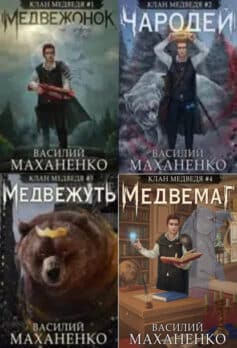 Серия книг «Клан Медведя»